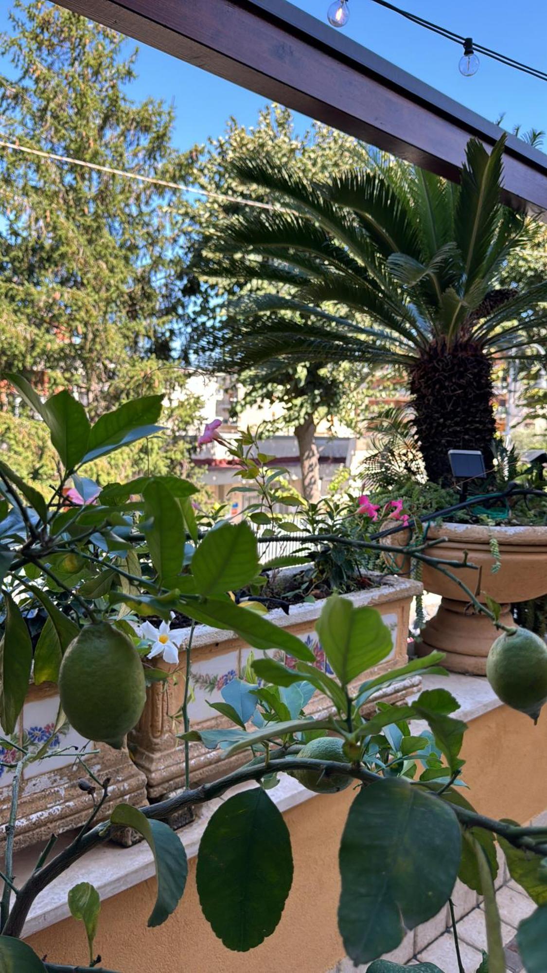 Relais Sorrento Terrace And Relax Bed and Breakfast Exteriör bild